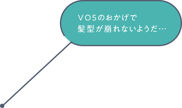 ＶＯ５のおかげで髪型が崩れないようだ…